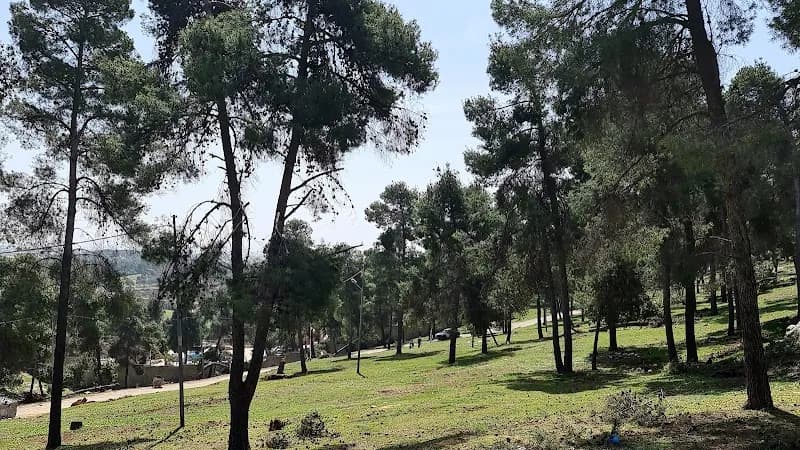 View of Amman National Park in Jabal Amman, Amman
