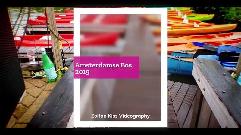 View of Amsterdam Forest in Amstelveen, NH