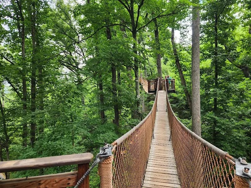 Anakeesta scenic spot in Gatlinburg, TN