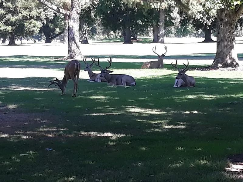 View of Ancil Hoffman Golf Course in Rancho Cordova, CA