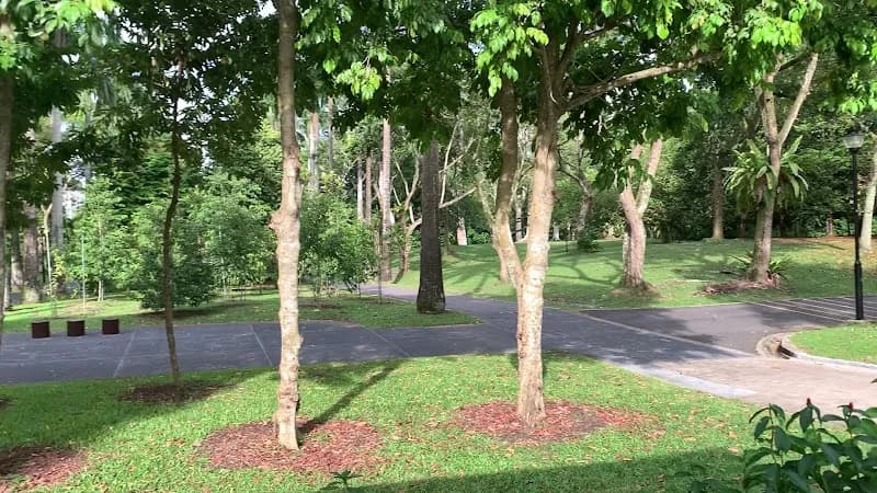 View of Ang Mo Kio Town Garden in Ang Mo Kio, SG