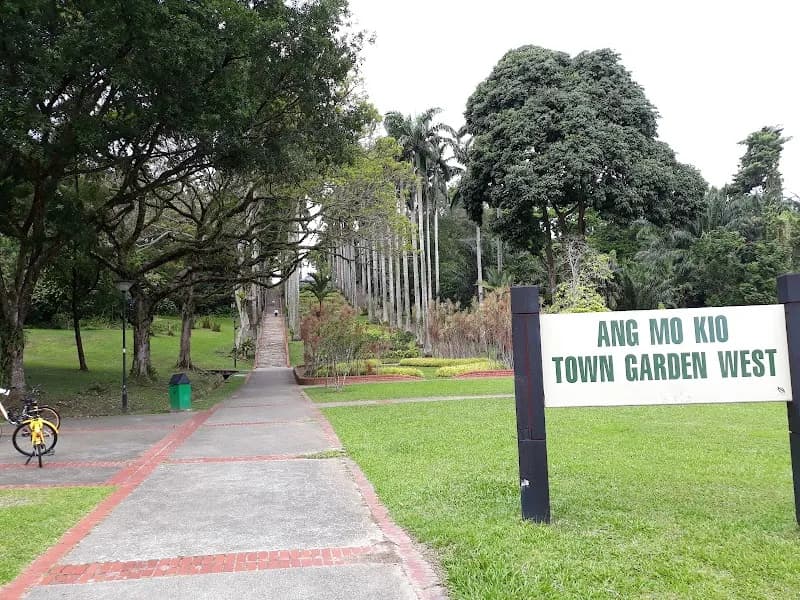 View of Ang Mo Kio Town Garden in Ang Mo Kio, SG