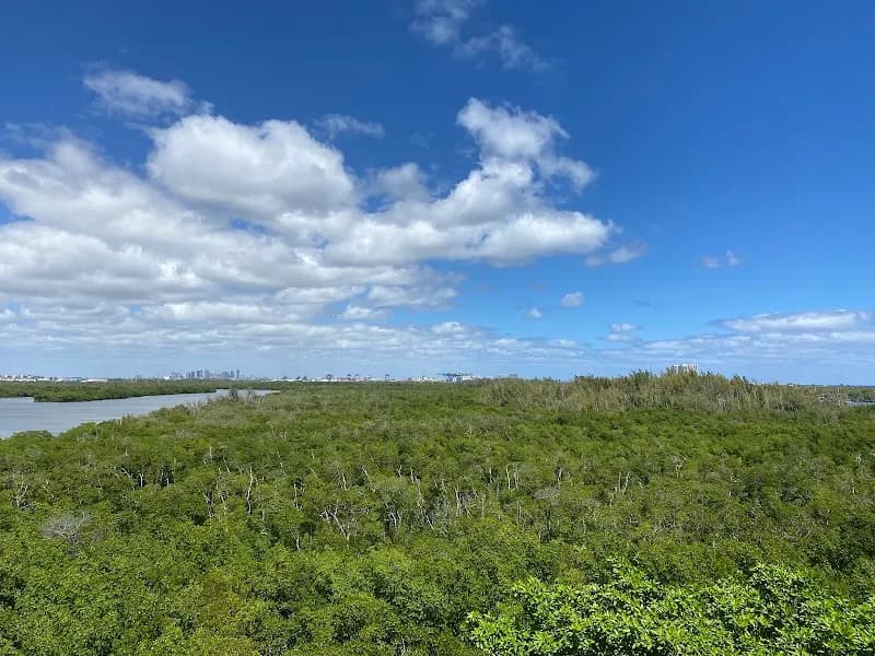 View of Anne Kolb Nature Center in West Palm Beach, FL