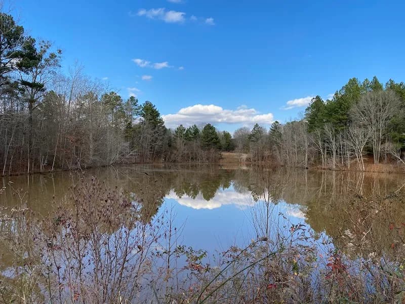 View of Anne Springs Close Greenway - Adventure Road in Fort Mill, SC