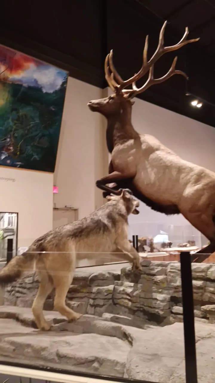 View of Anniston Museum of Natural History in Valley, AL