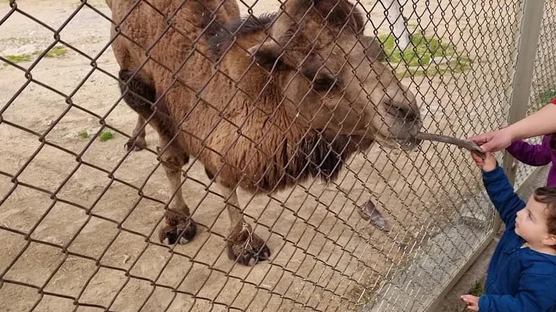 View of Antalya Petting Zoo in Antalya, ANT