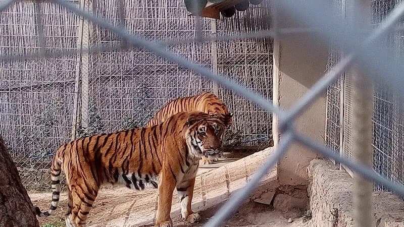 View of Antalya Petting Zoo in Antalya, ANT