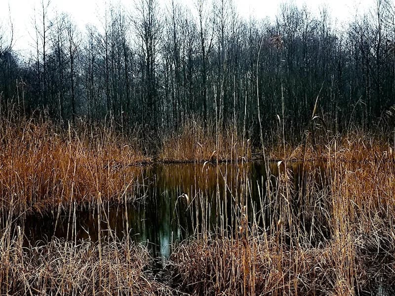 Antheringer Au wildlife park in Anthering, Salzburg