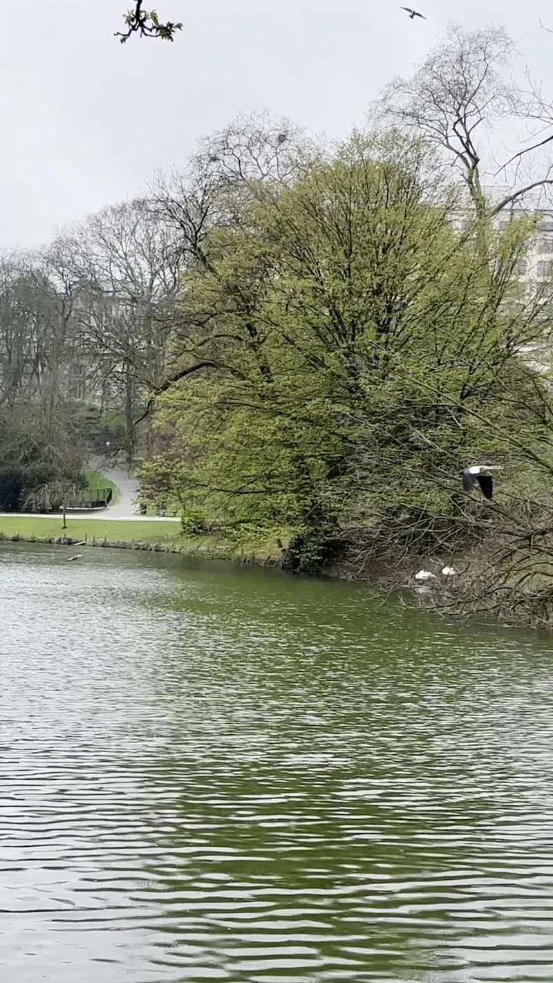 View of Antiloppark in Brussels, BRU
