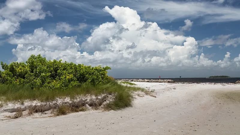 View of Apollo Beach Preserve in Apollo Beach, FL
