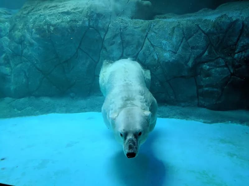 Aquário de São Paulo aquarium in Sao Paulo, SP