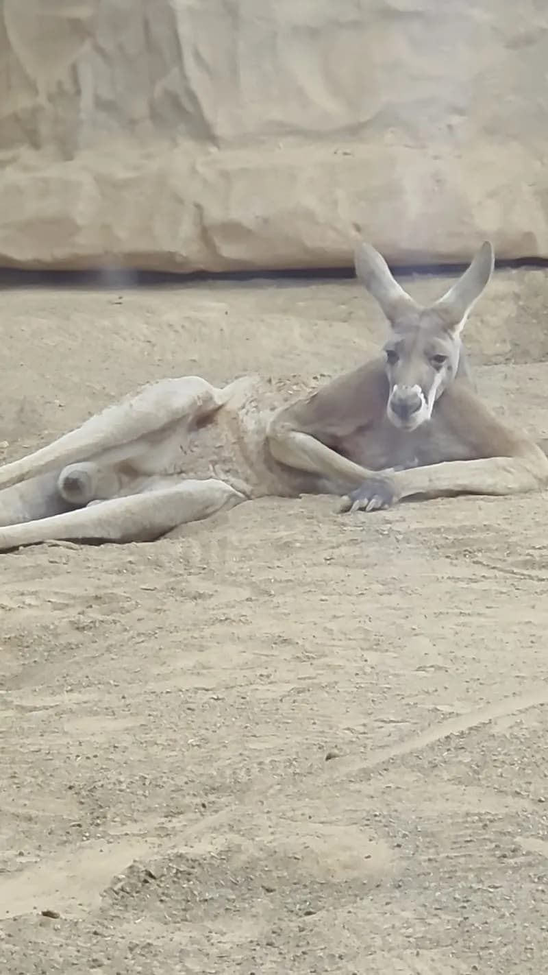 View of Aquário de São Paulo in Sao Paulo, SP