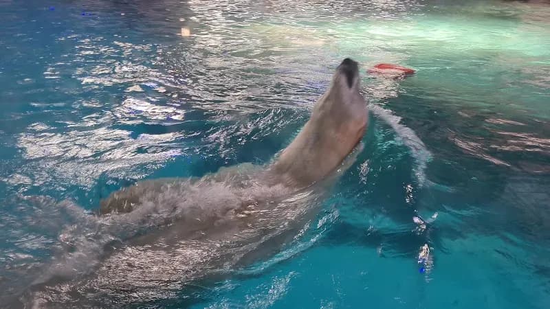 View of Aquário de São Paulo in Sao Paulo, SP