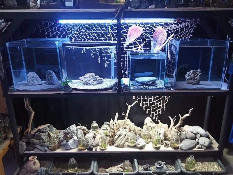 View of Aqua Natura in Valencia, VC