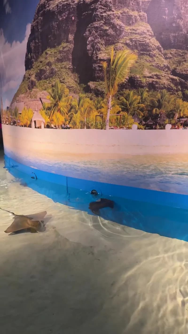 View of Aqua Park Antalya in Antalya, ANT