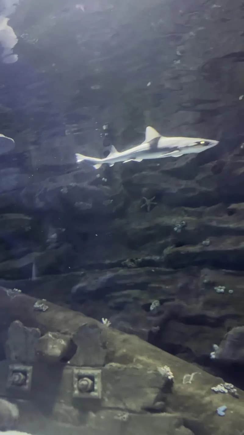 View of Aqua Park Antalya in Antalya, ANT