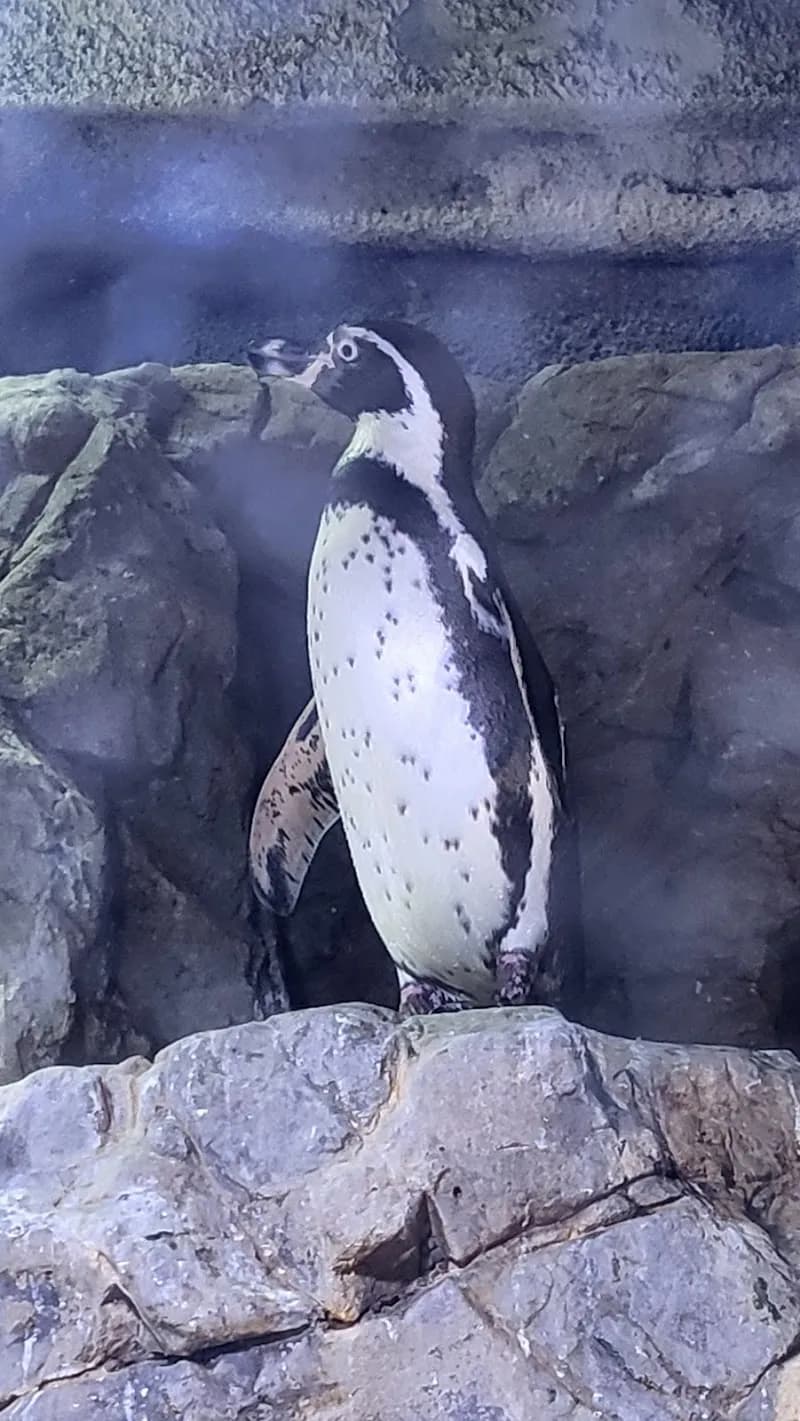 View of Aqua Planet 63 in Seoul, SEL