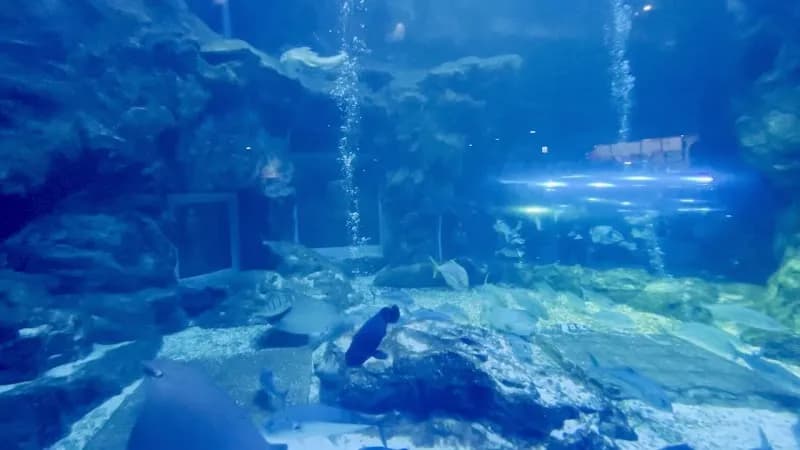 View of Aqua Planet ILSAN in Ilsan, GG