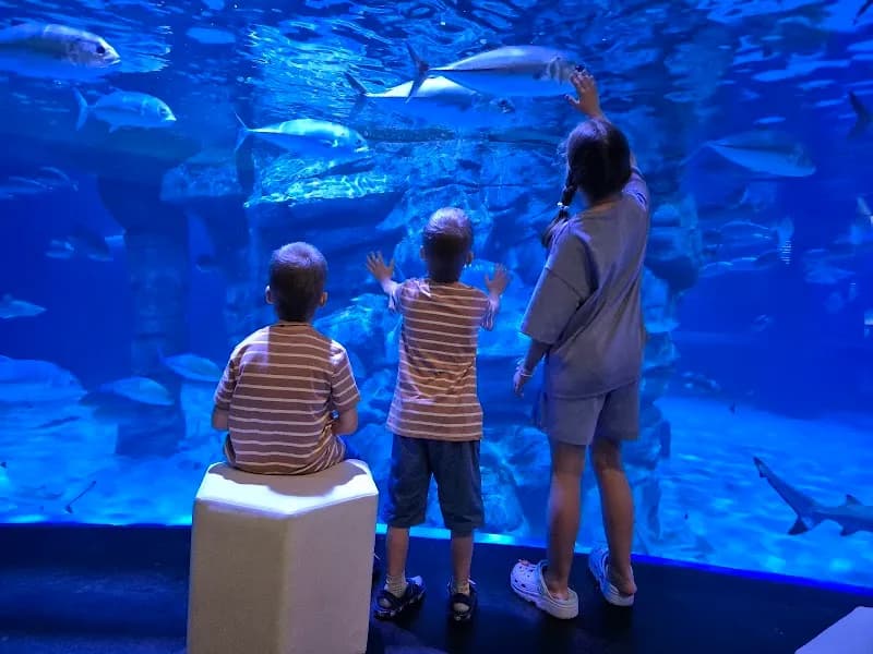 Aquaria Phuket aquarium in Phuket, PKT