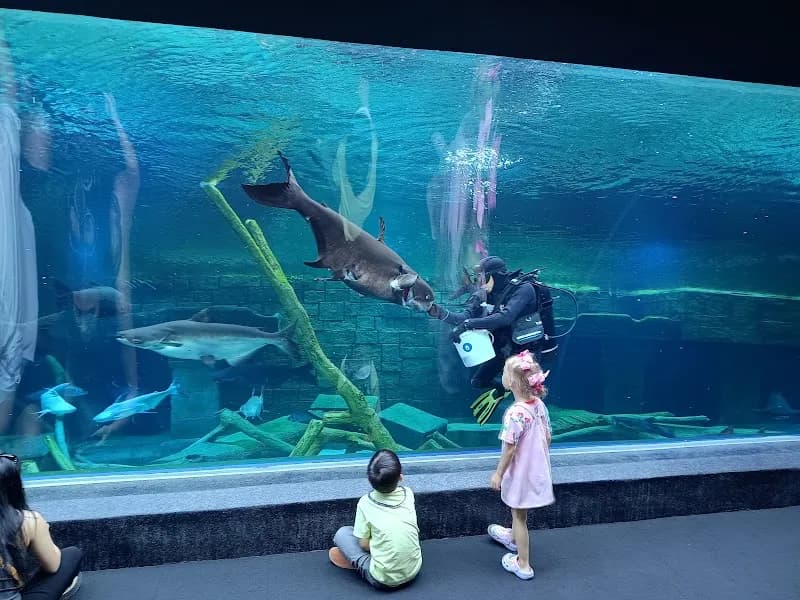 View of Aquaria Phuket in Phuket, PKT