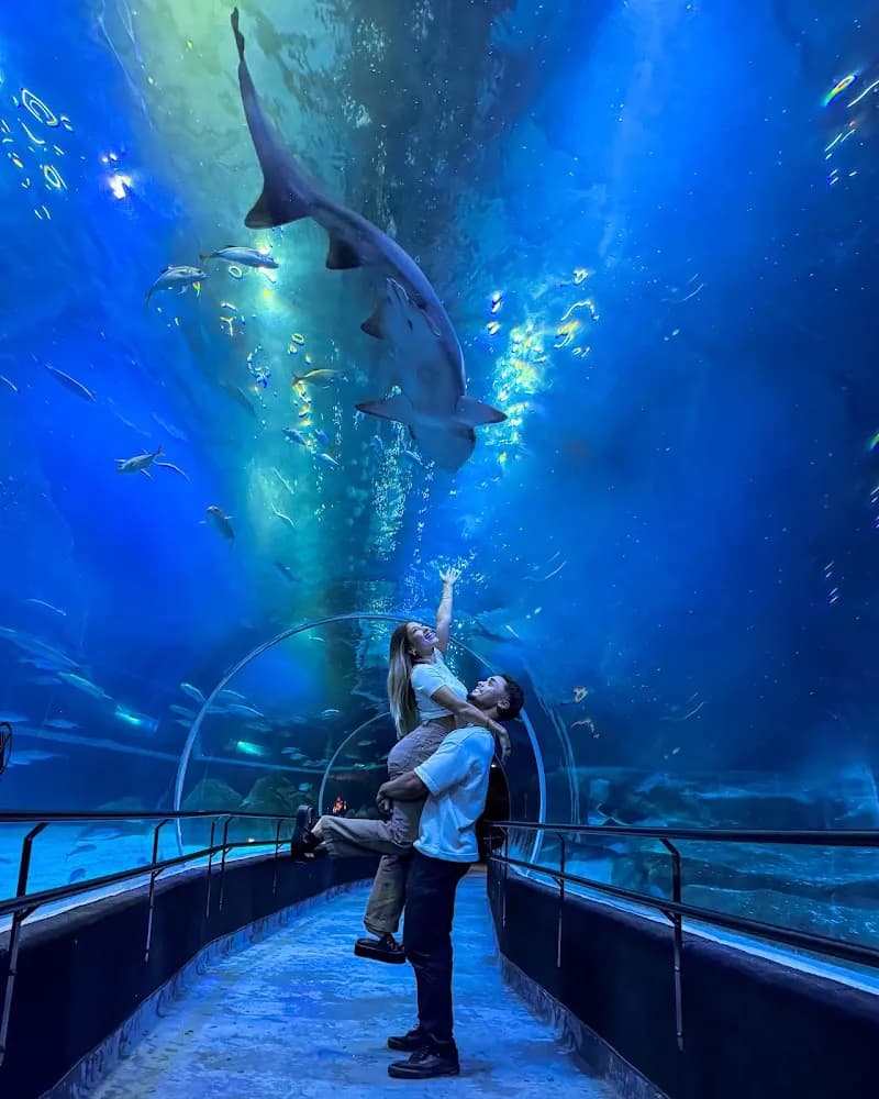 AquaRio aquarium in Rio de Janeiro, RJ