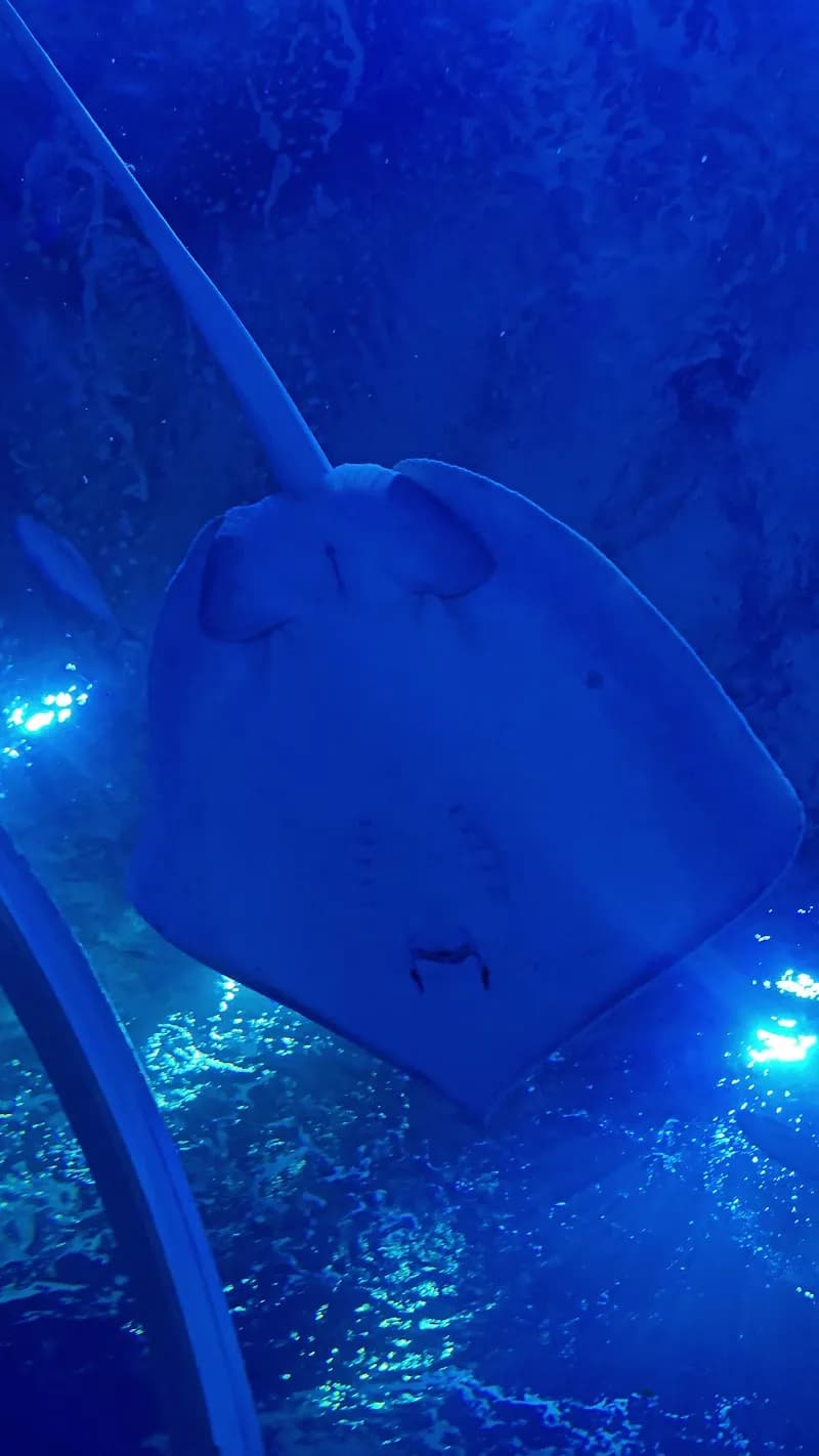 View of AquaRio in Rio de Janeiro, RJ