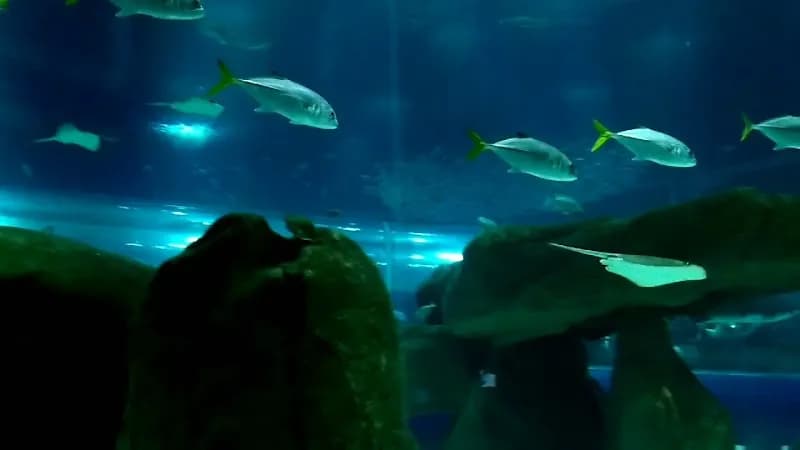 View of AquaRio in Rio de Janeiro, RJ