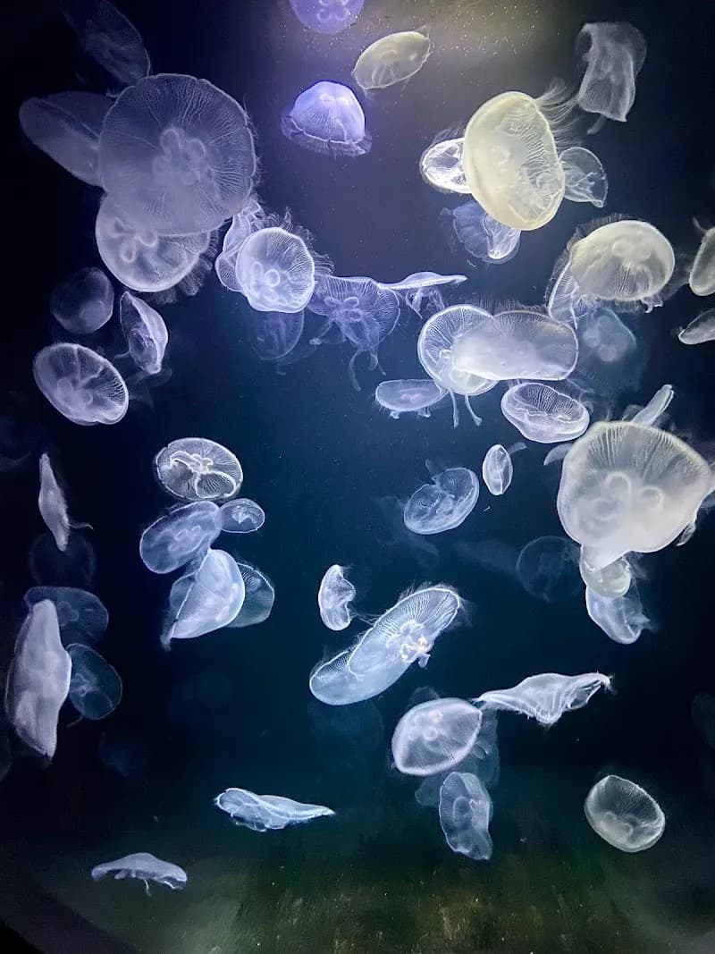 View of Aquarium de Paris in Paris, IDF