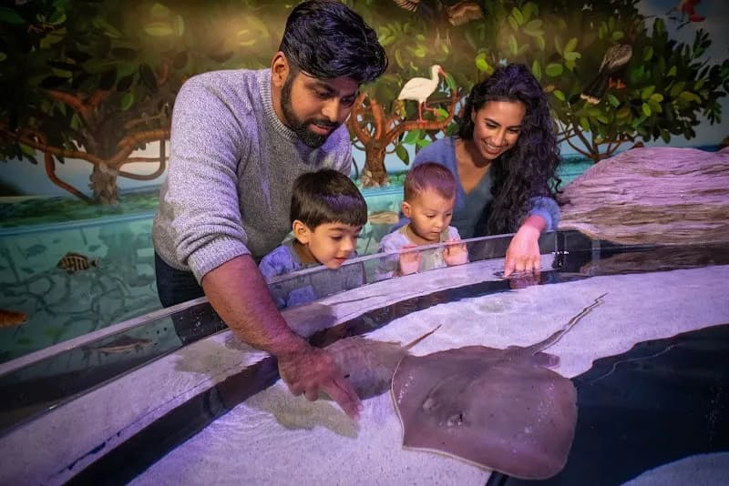 Aquarium of Niagara aquarium in Buffalo, NY