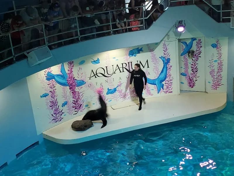 View of Aquarium of Niagara in Buffalo, NY