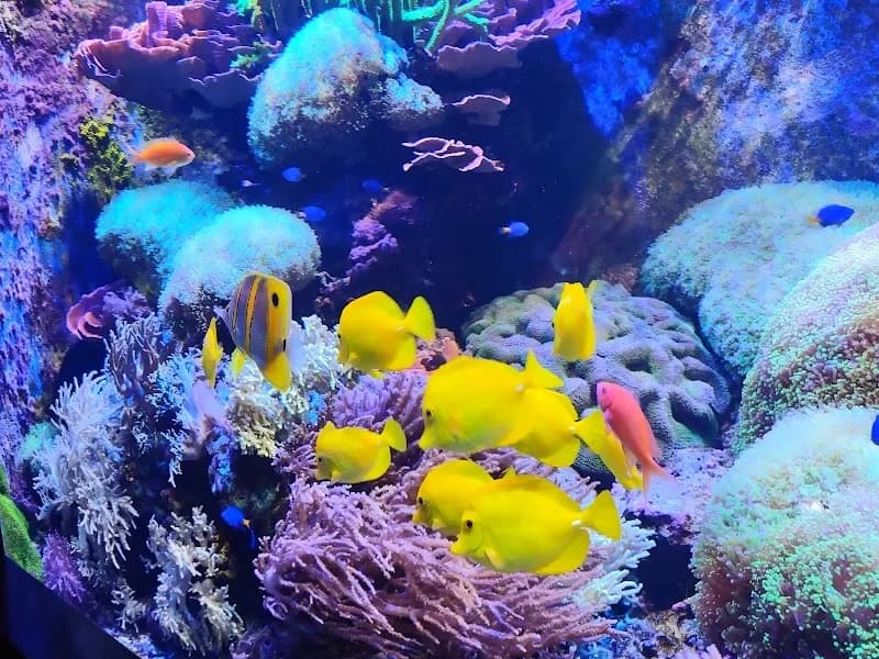View of Aquarium of Niagara in Buffalo, NY