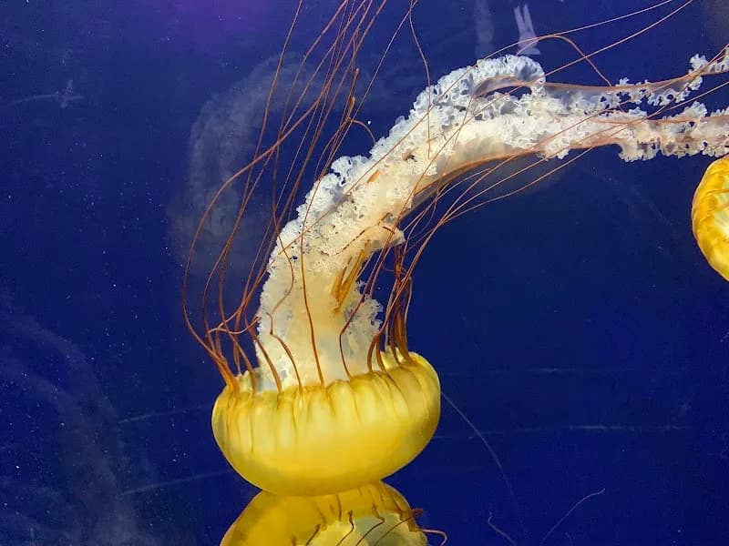 View of Aquarium of the Bay in San Francisco, CA