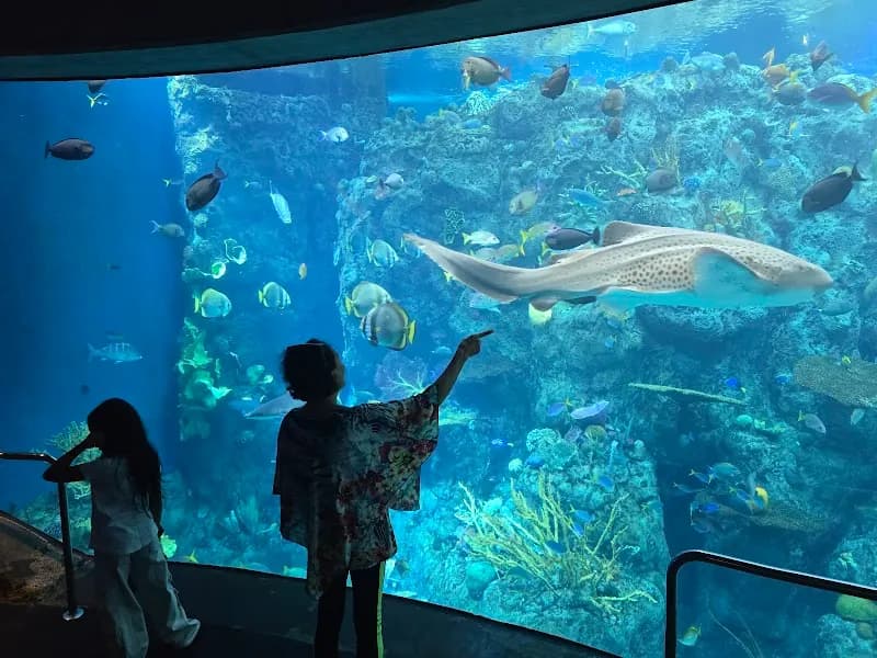 View of Aquarium of the Pacific in Long Beach, CA