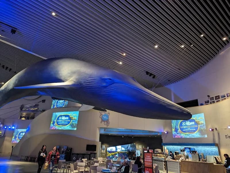 View of Aquarium of the Pacific in San Jose, CA