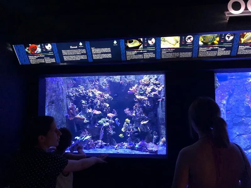 View of Aquarium Tropical in Vincennes, IDF