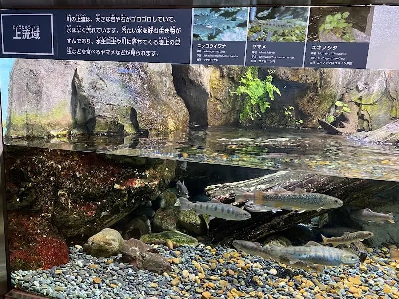 View of Aquatic Life House in Musashino, Tokyo