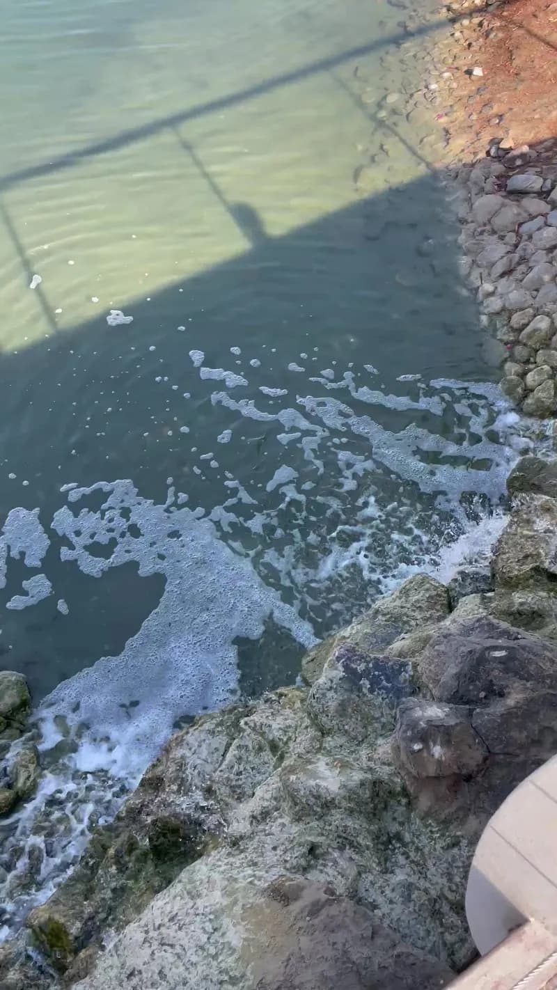 View of Arabian Ranches Nature Trail in Arabian Ranches, Dubai