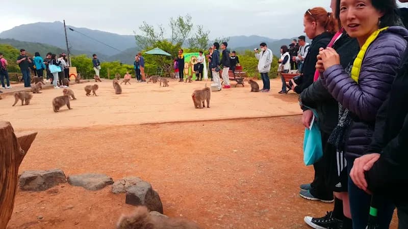 View of Arashiyama Monkey Park Iwatayama in Kyoto, KT