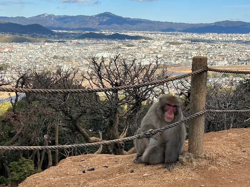 View of Arashiyama Monkey Park Iwatayama in Kyoto, KT