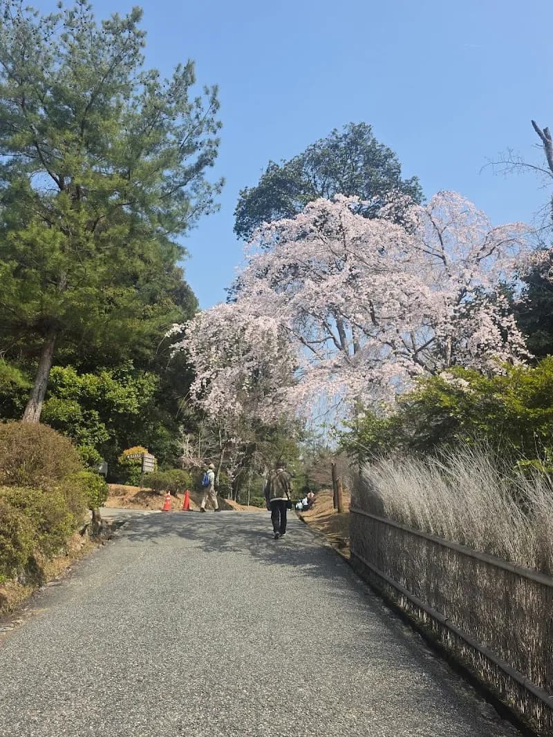 View of Arashiyama in Ohara, KYO
