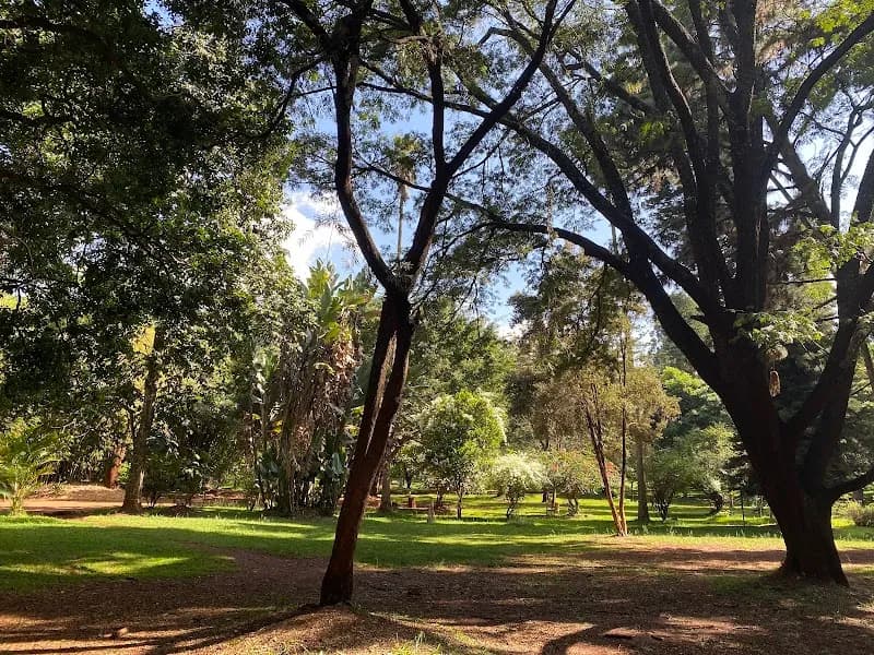 View of Arboretum Nairobi in Nairobi, NBO