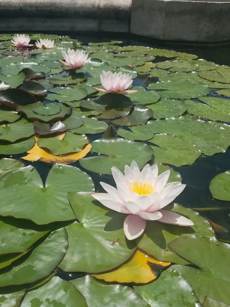 Arboretum botanical garden in Tulsa, OK