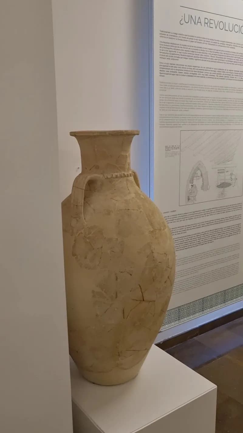 View of Archaeological Museum of Gandia in Gandia, V