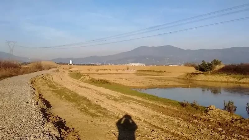 View of Area naturale protetta Stagni di Focognano in Campi Bisenzio, Tuscany