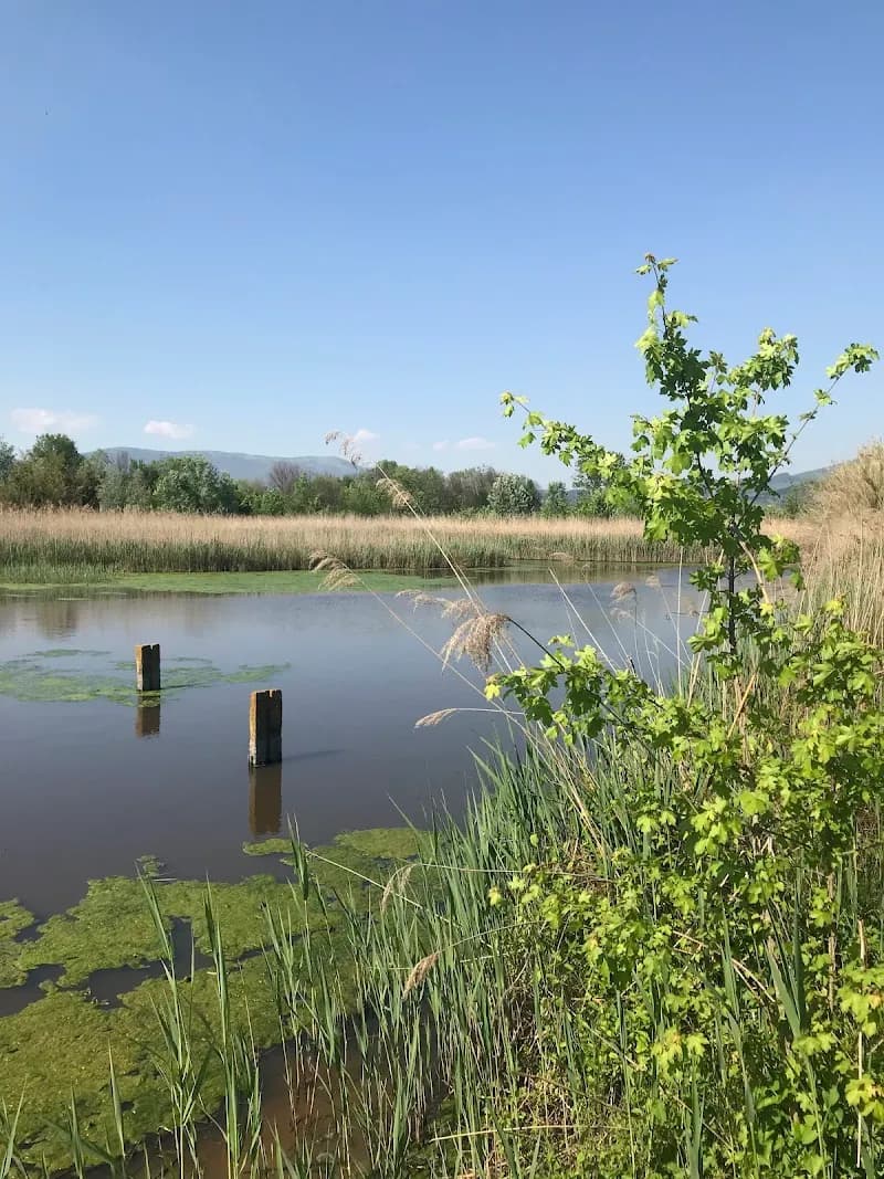 View of Area naturale protetta Stagni di Focognano in Campi Bisenzio, Tuscany