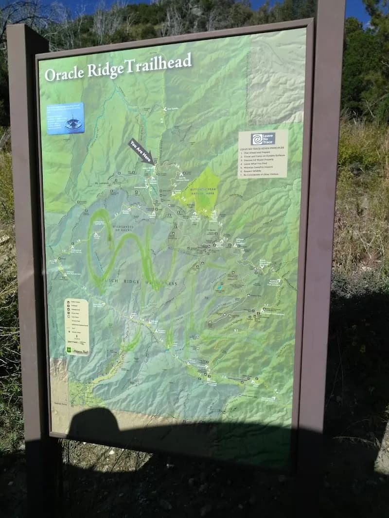 View of Arizona Trail - Oracle Ridge Trailhead in Catalina, AZ