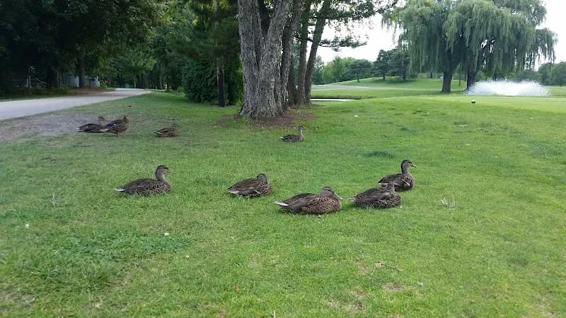 View of Arlington Lakes Golf Club in Arlington Heights, IL