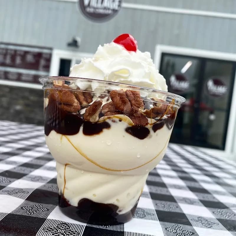 View of Armadillo Ice Cream Shoppe in Orchard Park, NY