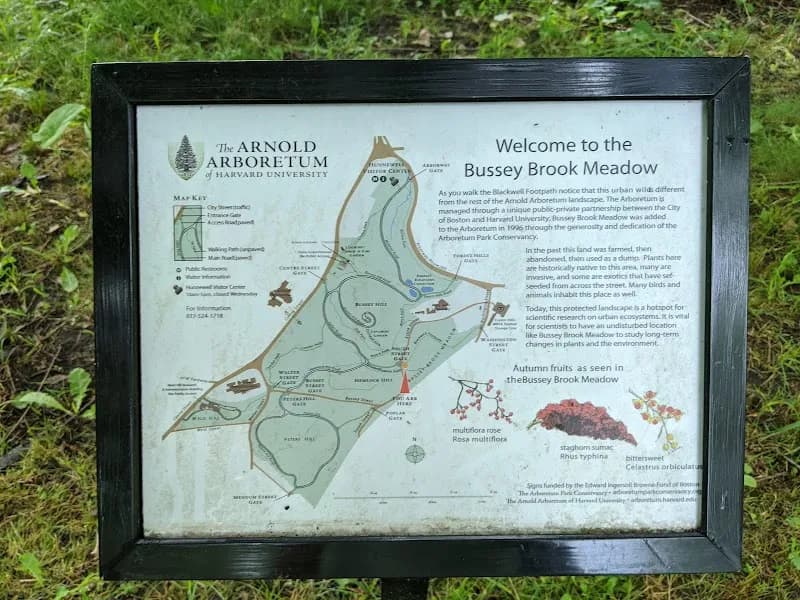 View of Arnold Arboretum of Harvard University in Boston, MA