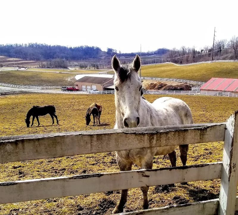 View of Arrowhead Trail in Peters Township, PA